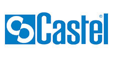 Castel Logo - Wongso Cool